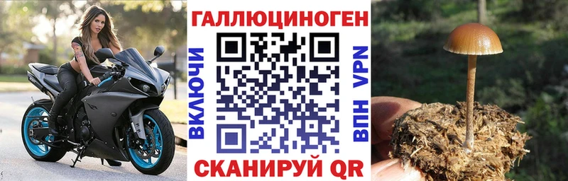 Галлюциногенные грибы ЛСД Рыльск